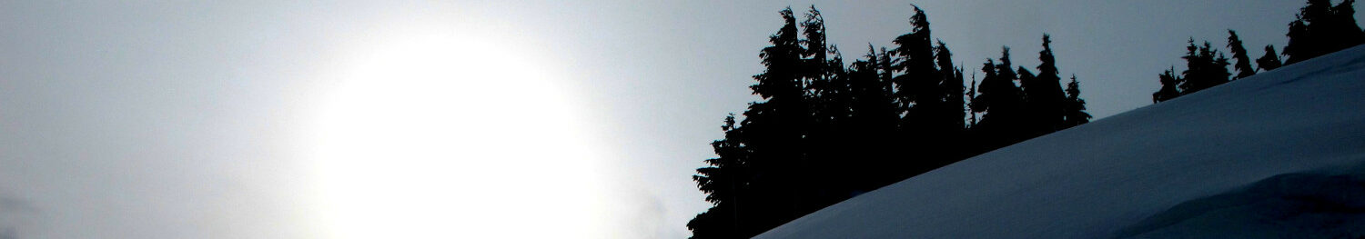 thinline.at